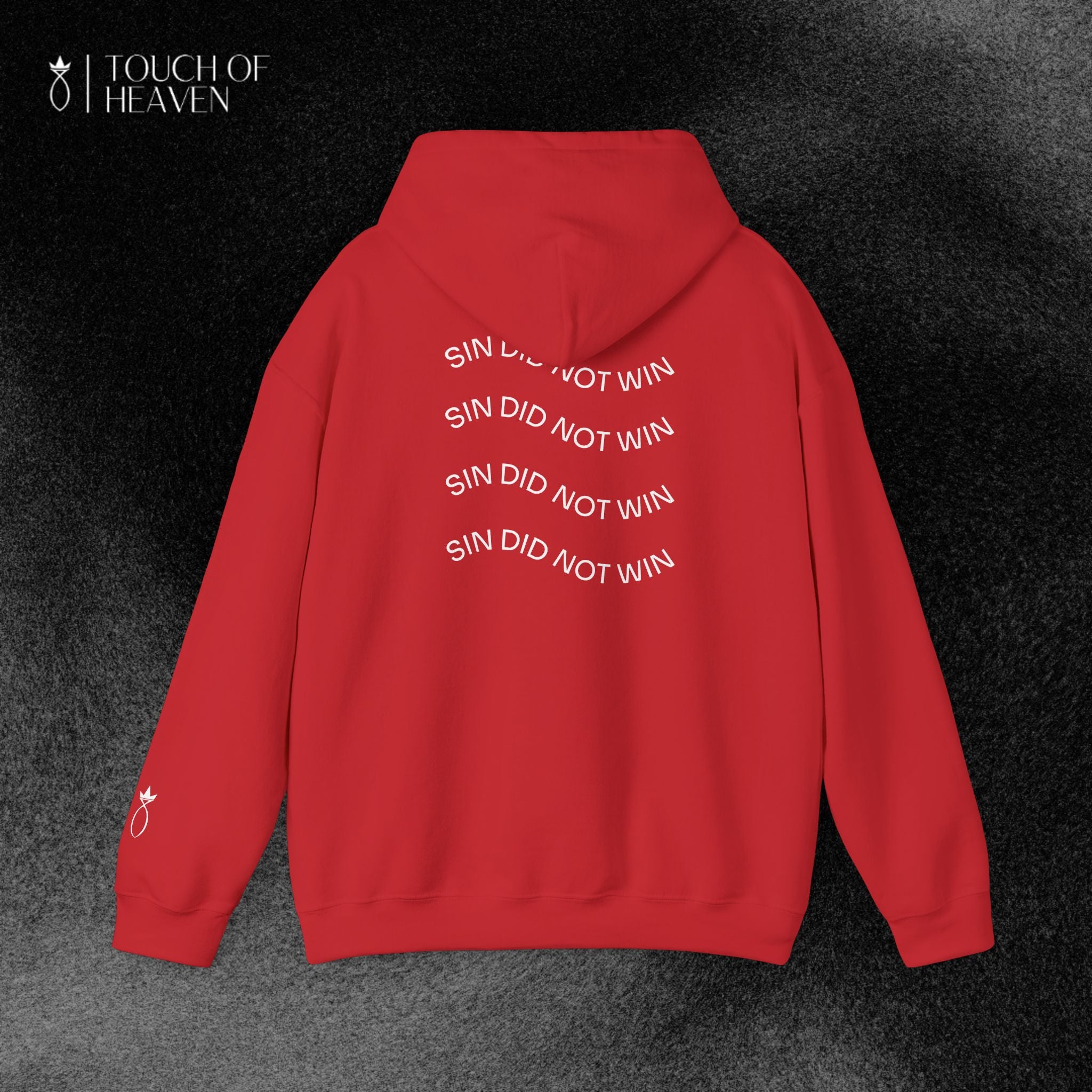 "SIN DID NOT WIN" Hoodie