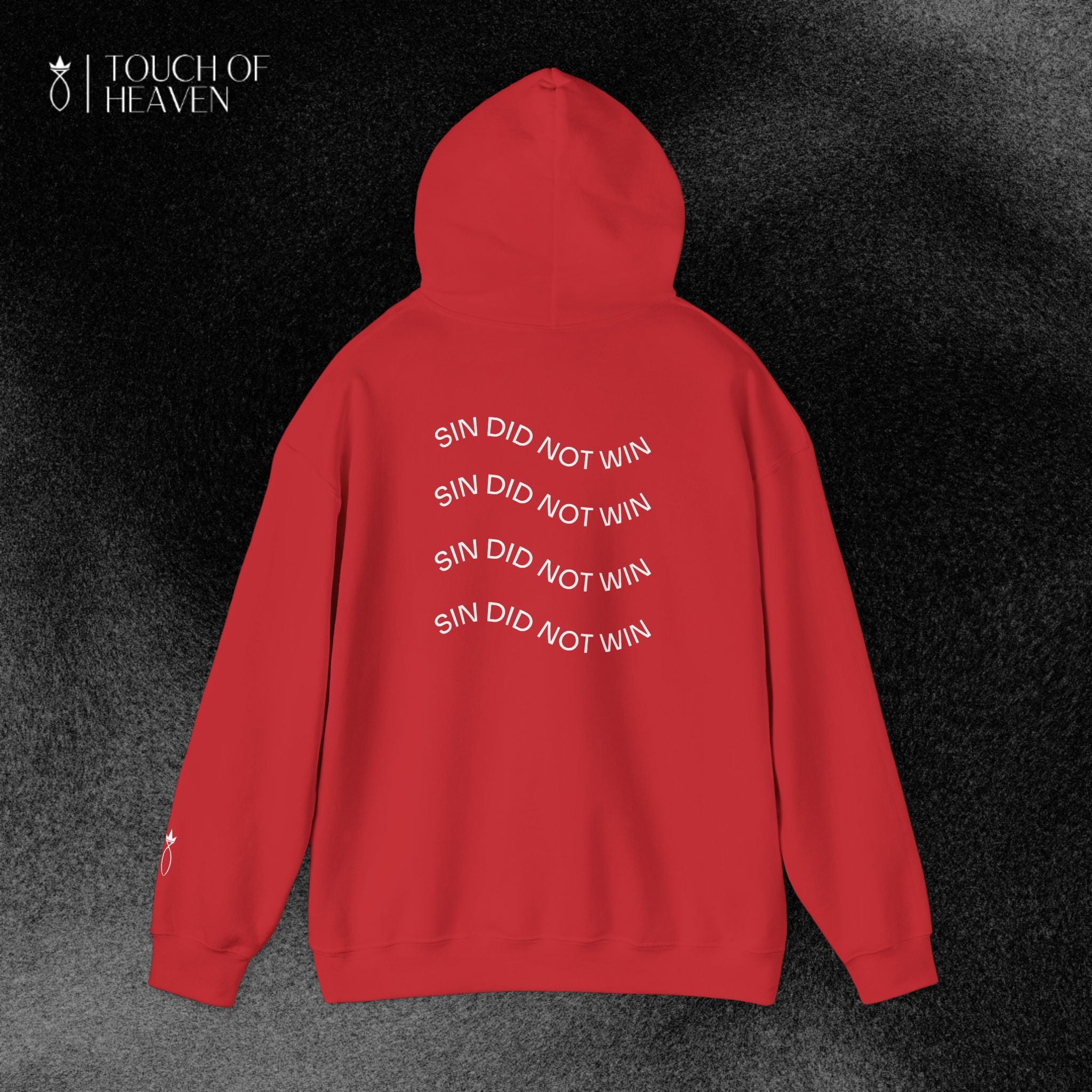 "SIN DID NOT WIN" Hoodie