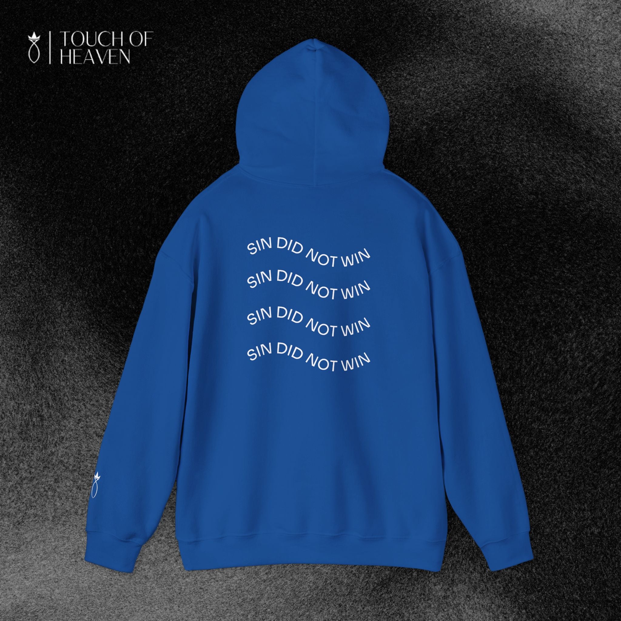 "SIN DID NOT WIN" Hoodie
