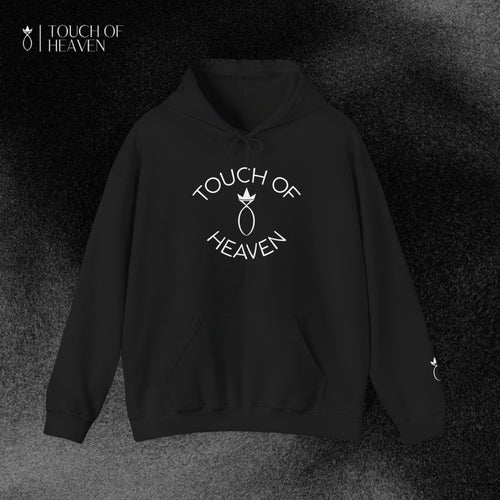 "SIN DID NOT WIN" Hoodie