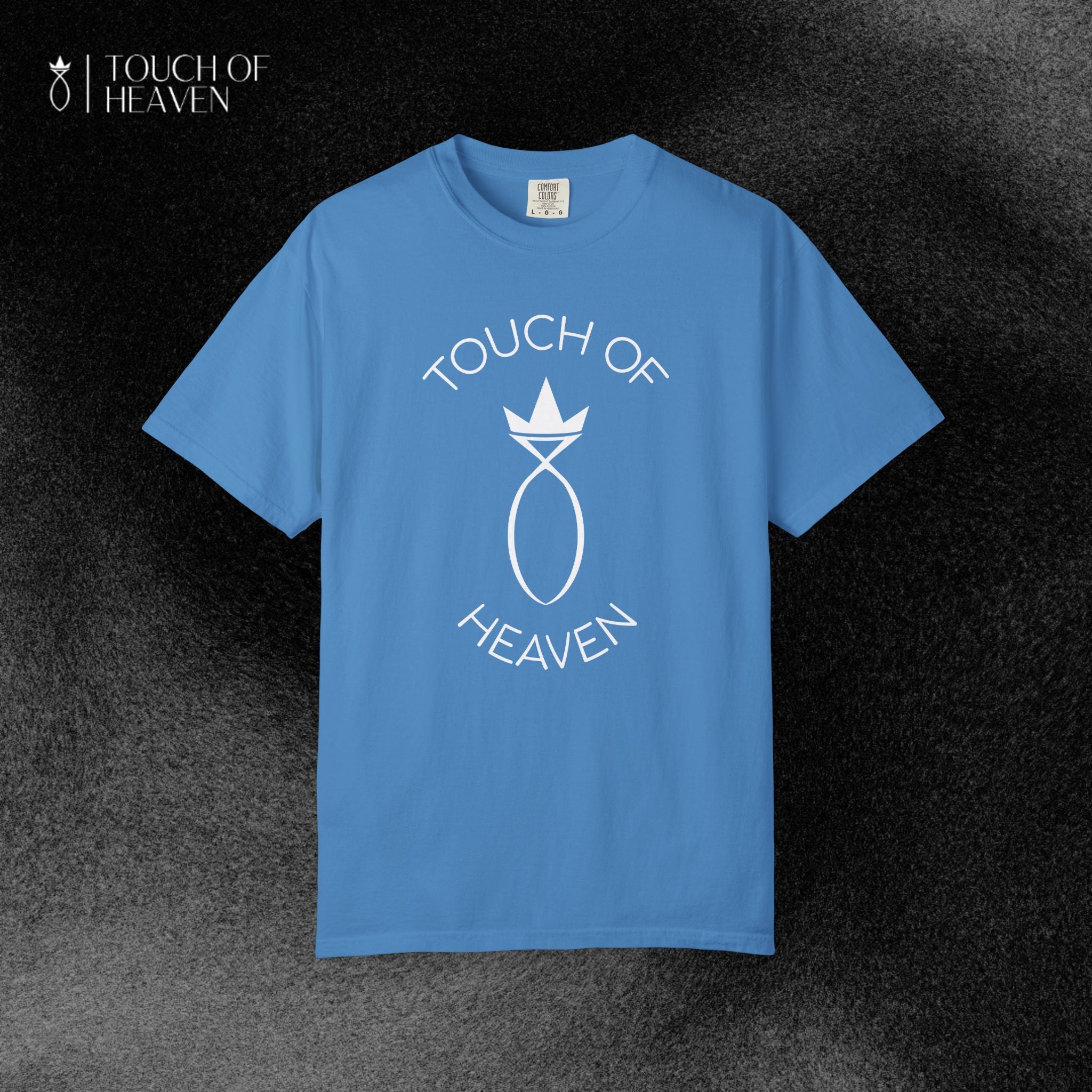 "SIN DID NOT WIN" T-Shirt