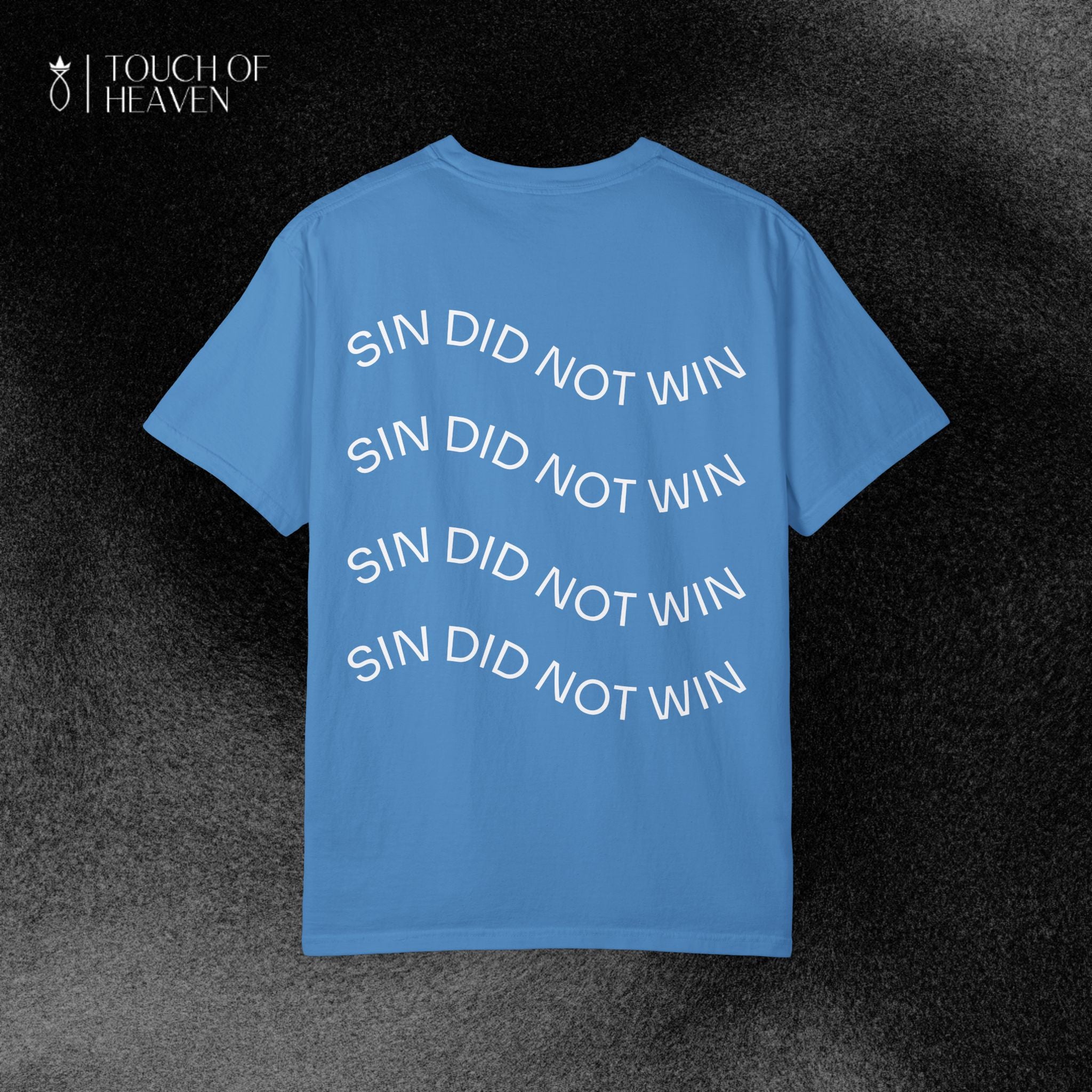 "SIN DID NOT WIN" T-Shirt