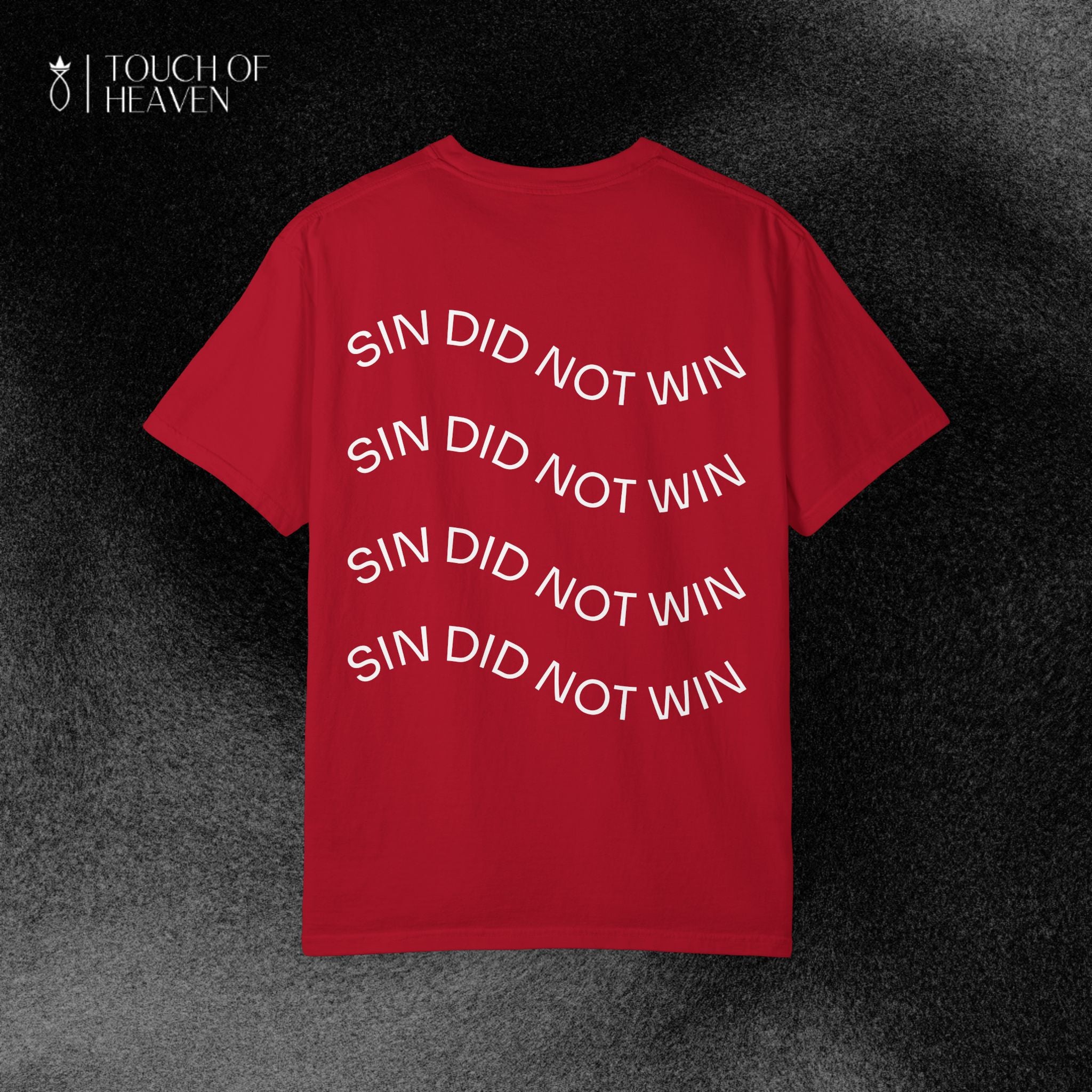 "SIN DID NOT WIN" T-Shirt